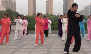 杨氏85式太极拳教程